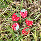 Handmade Wooden Strawberry Buttons – Set of 10 for Sewing, Knitting & Crochet - 17x23mm