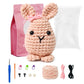 Beginner Bunny Crochet Kit, Amigurumi Crochet Starter Kit DIY Craft Gift
